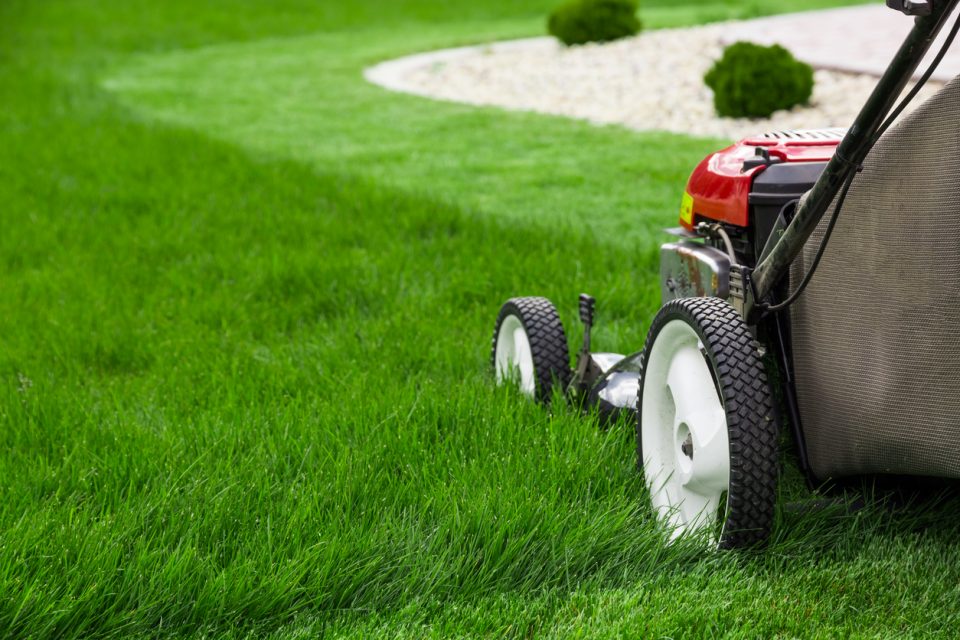 It s Never Too Early For Yard Work With A Honda Lawn Mower It s Never Too Early For Yard Work With A Honda Lawn Mower