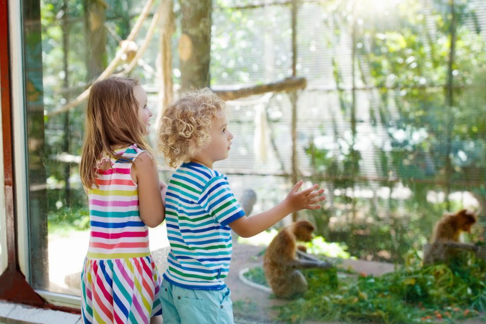 alabama safari park prices