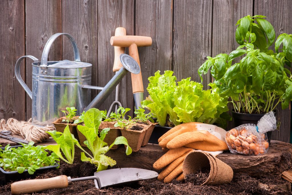 Saturdays In The Gardens - Plant A Container