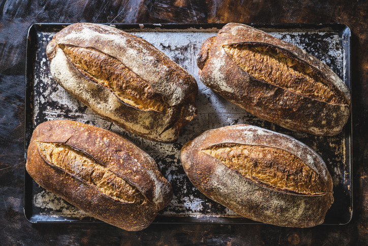 Four sourdough bread loaves in a baking tray handmade just baked fresh